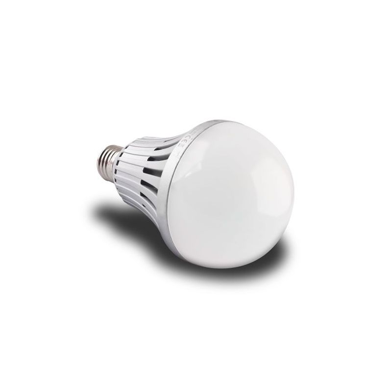 Ampoule LED télécommande : Lux et Déco, Pack 2 ampoules LED E27