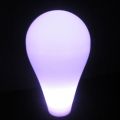 Lampe originale Amp