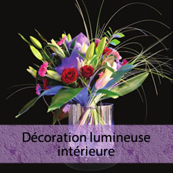 Décoration lumineuse intérieure